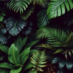 Plants Quiz Questions and Answers
